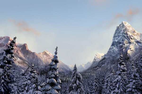 Nature of the winter forest in the mountains