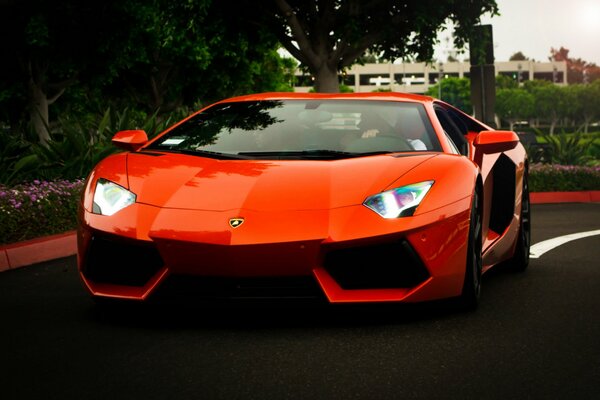 Orange Lambargini guida su una strada cittadina