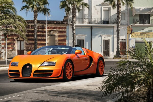 On the street under the palm trees orange bugatti