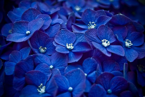 Beaucoup de couleurs bleues avec des moyens bleus