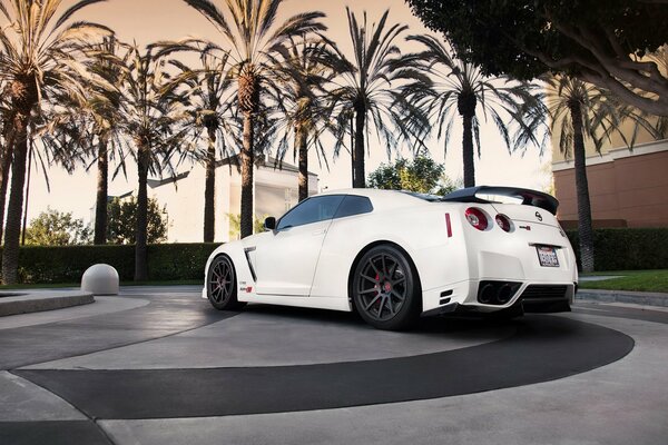 Nissan blanco estacionado en la calle bajo las palmeras