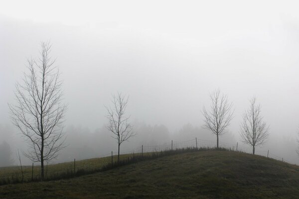 Matin brumeux dans le village