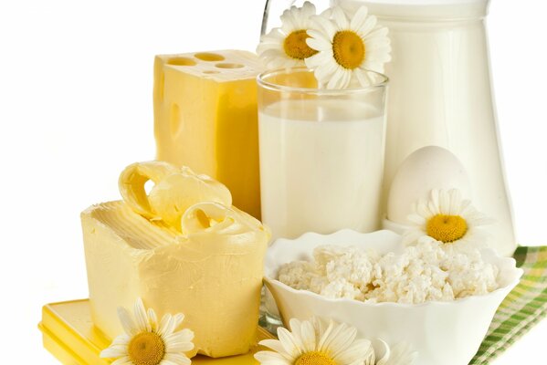 Still life of dairy products with daisies