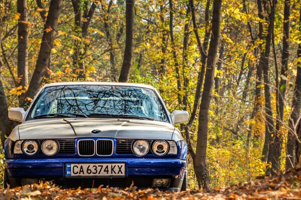 A car with beautiful headlights in the autumn park