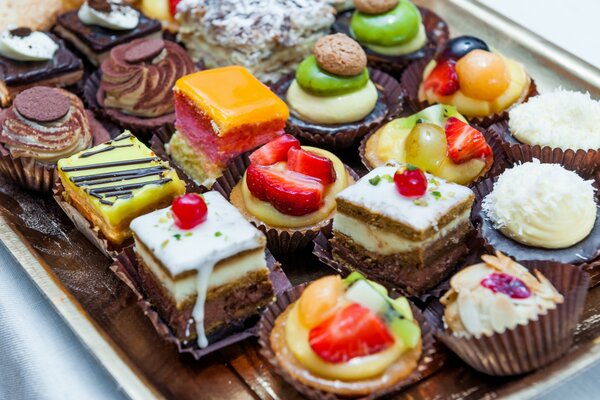 Verschiedene Mini-Kuchen zum Nachtisch