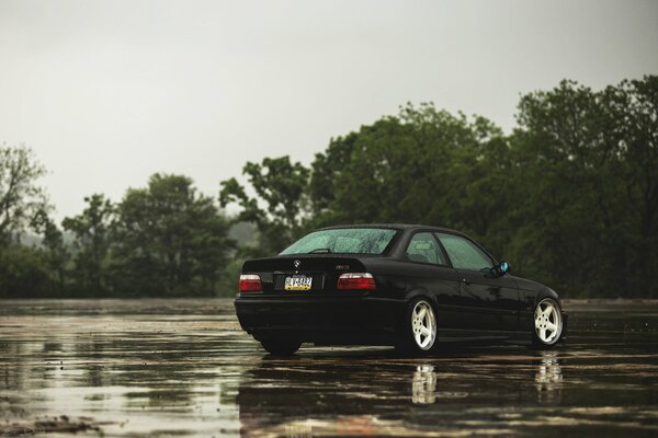 Black boomer after the rain