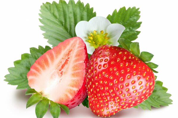 Fraises mûres sur fond blanc