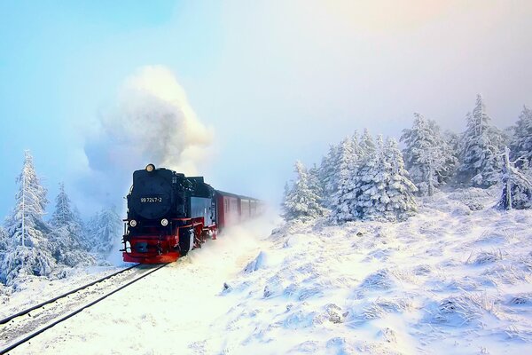 Dampflokomotive auf Schienen im Winterwald