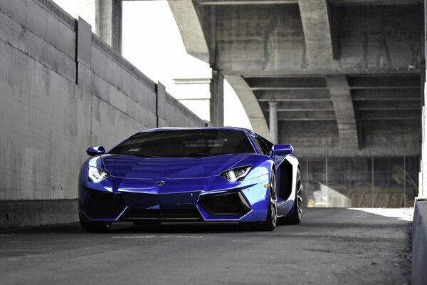 Lamborghini aventador bleu de luxe sous le pont