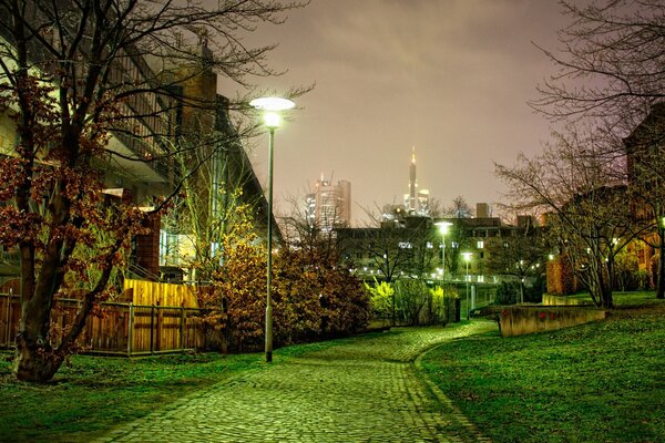 Chemin du parc de nuit dans l éclairage des lanternes