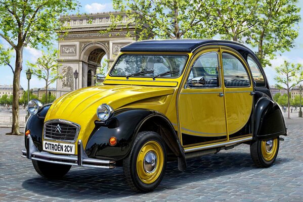 Microlitrage Citroen stands on the city asphalt