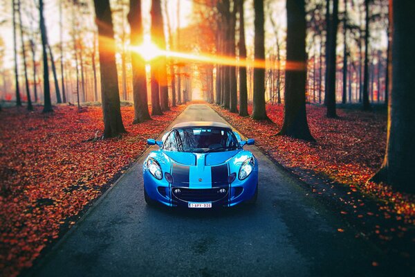 Deportivo azul en el bosque de otoño