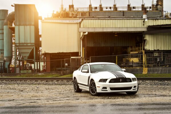 White Ford Mustang with sports stripes