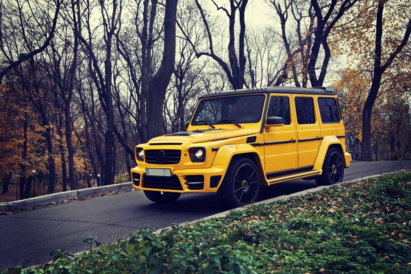 SUV jaune sur la route d automne