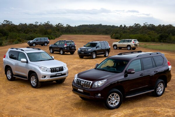 Toyota SUVs in the African savannah