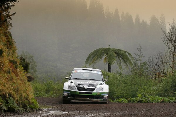 Skoda Fabia on the background of fog