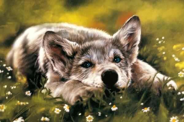 A small blue-eyed puppy among daisies