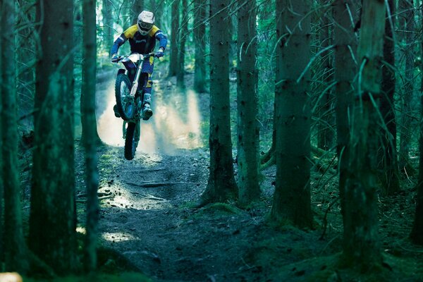 Biker fährt unter Bäumen im Wald