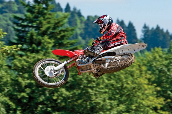 Ein Motorradflug. Biker auf dem Hintergrund des Himmels und der Bäume