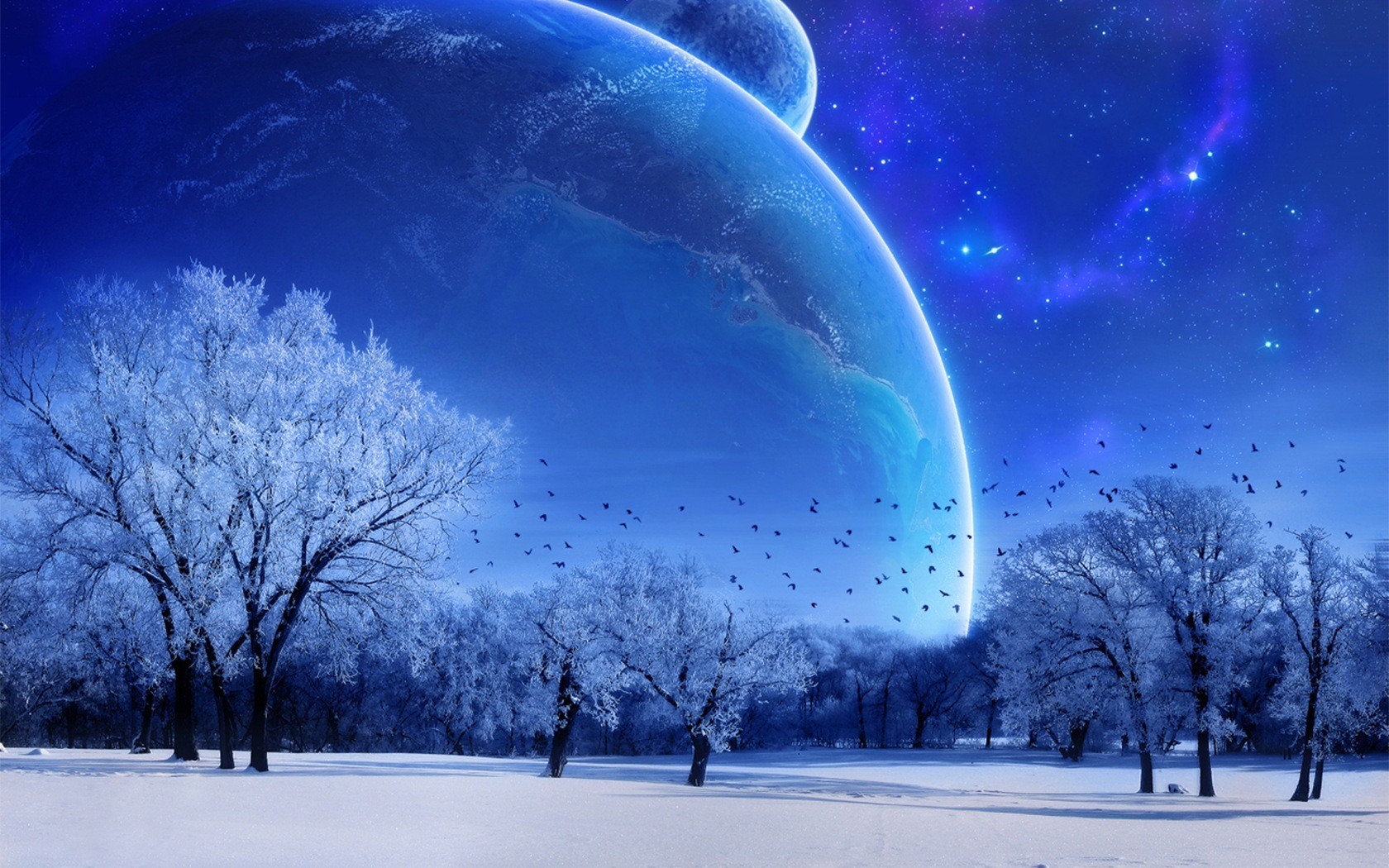 winter moon sky blue tree