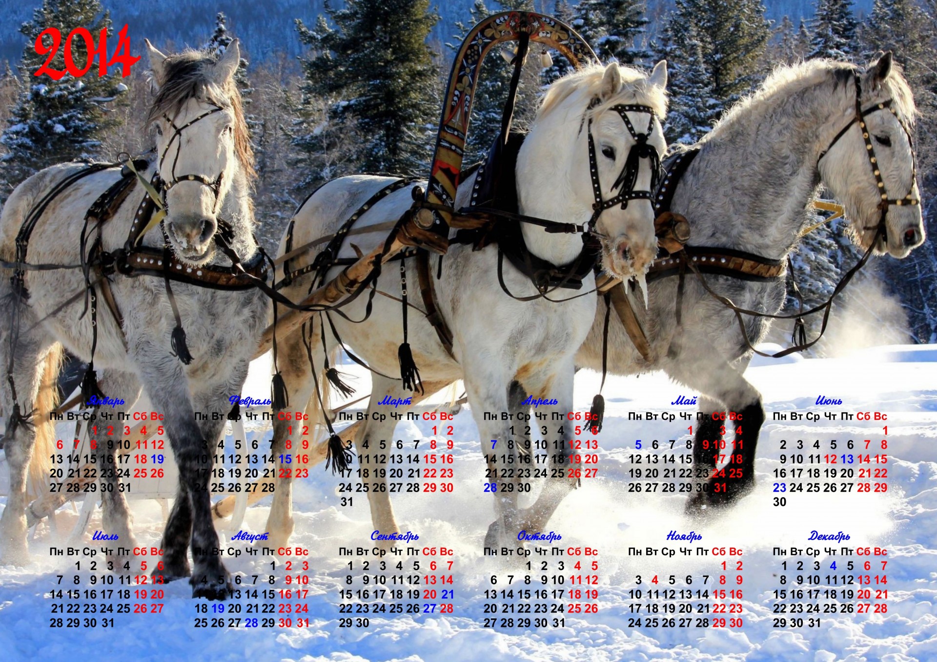 2014 año del caballo calendario