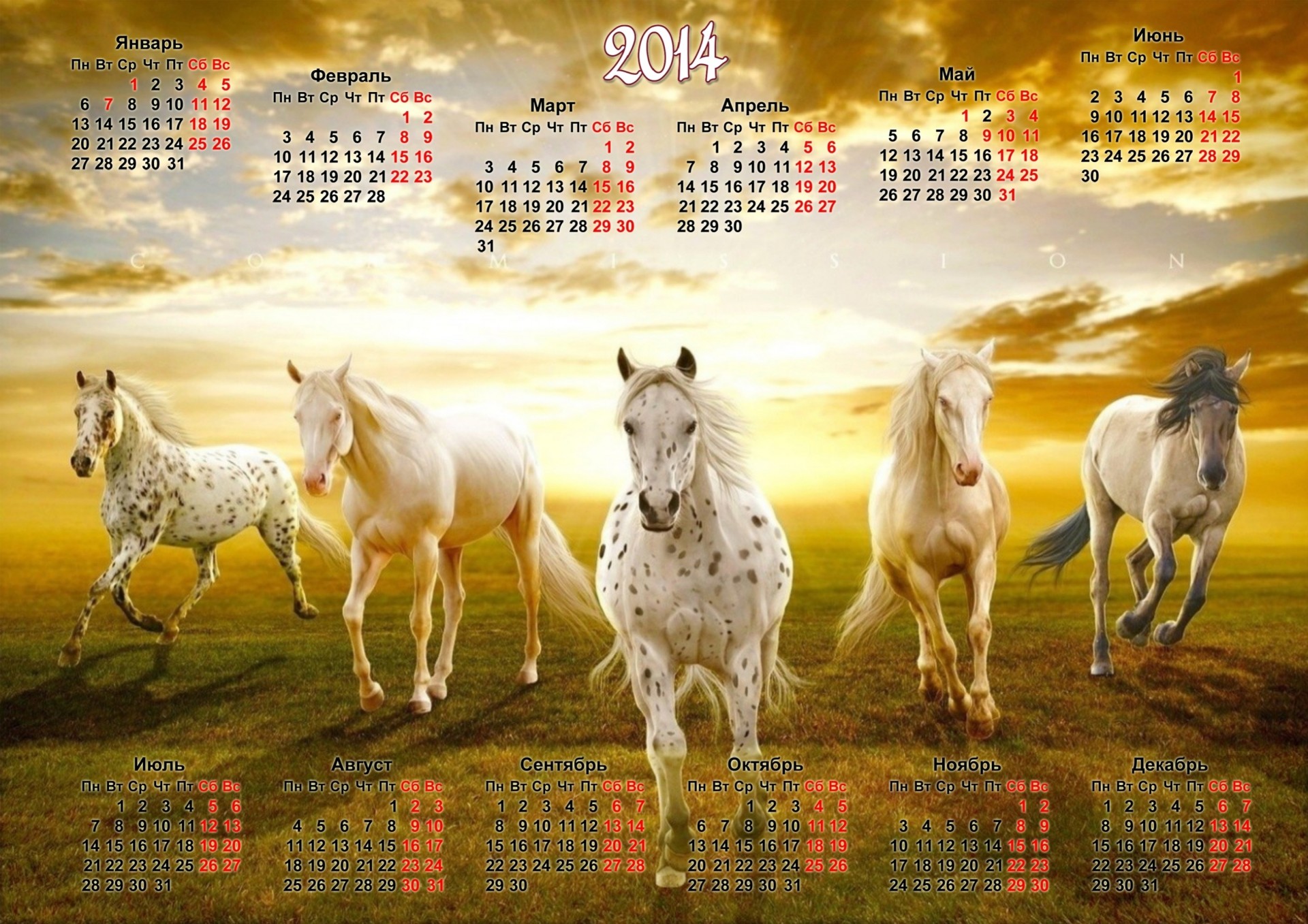 2014 anno del cavallo calendario