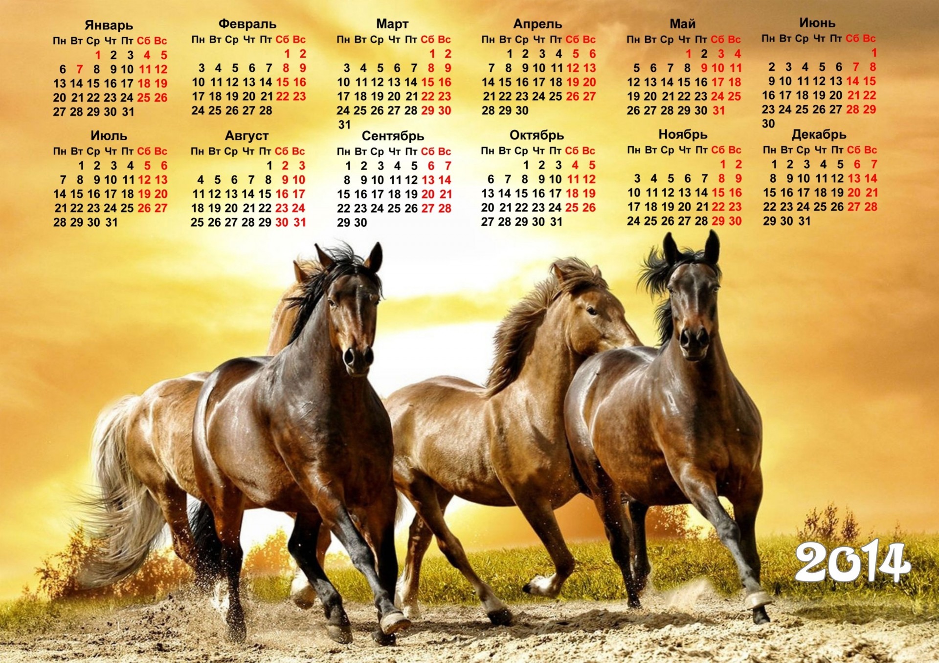 2014 año del caballo calendario