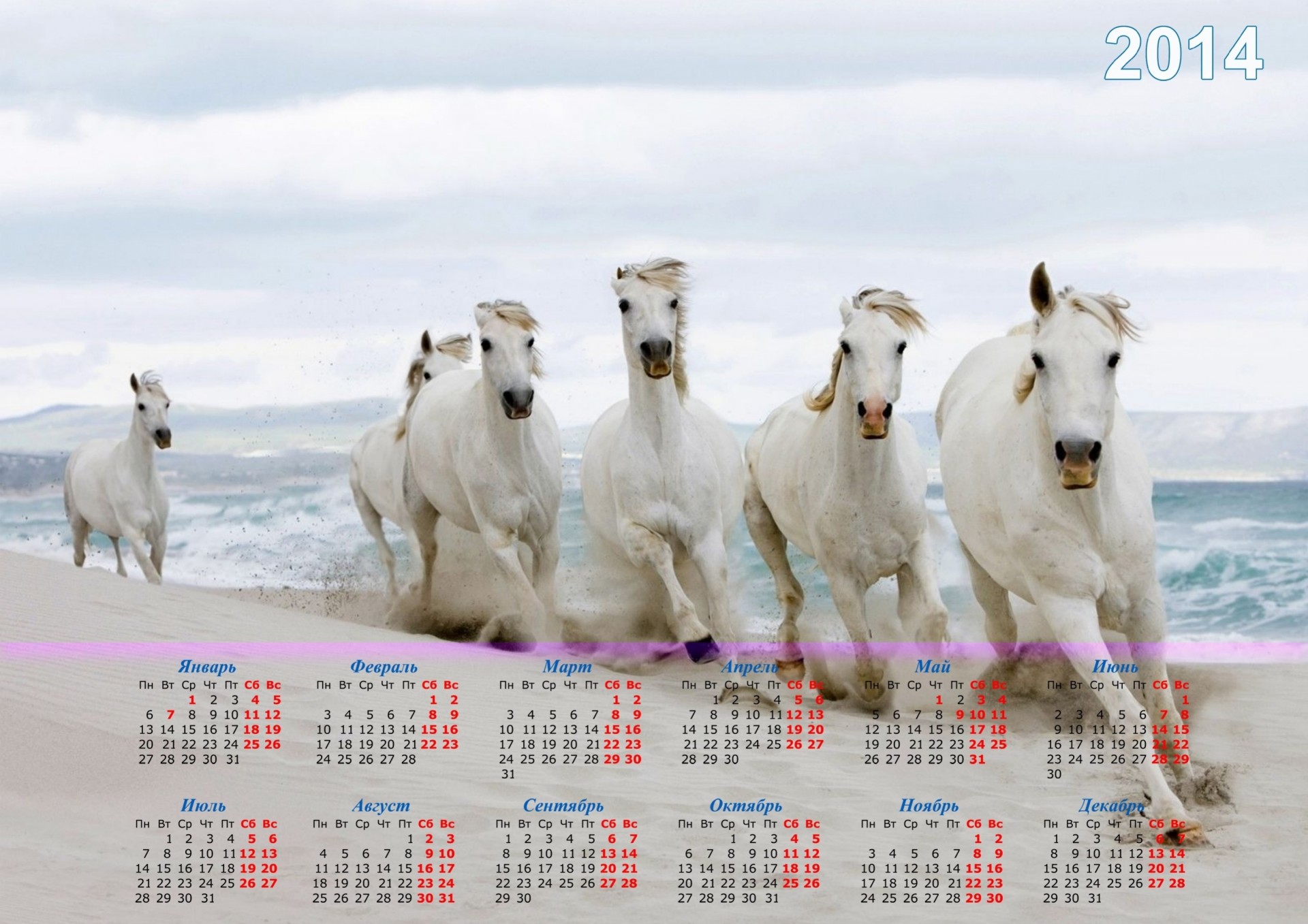 2014 anno del cavallo calendario