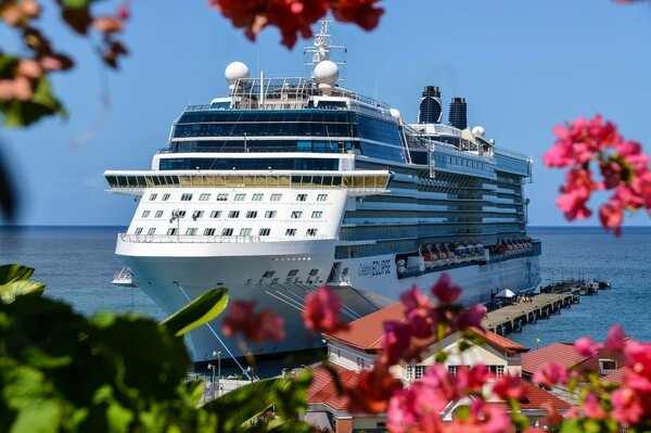 Kreuzfahrtschiff im Meer durch Blumen