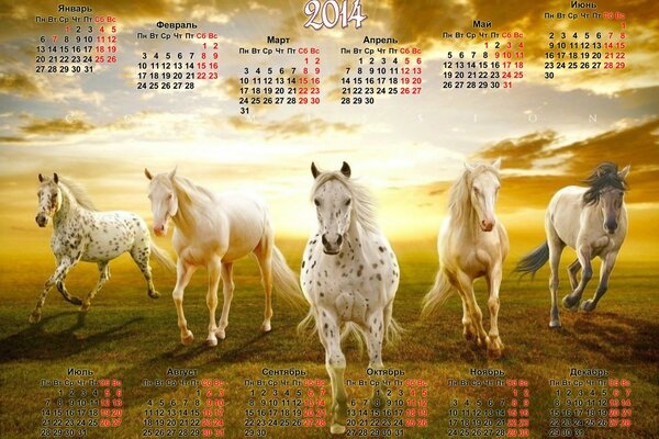 Kalender für 2014 mit Laufpferden