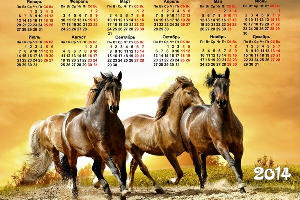 Calendario 2014 con caballos corriendo al atardecer