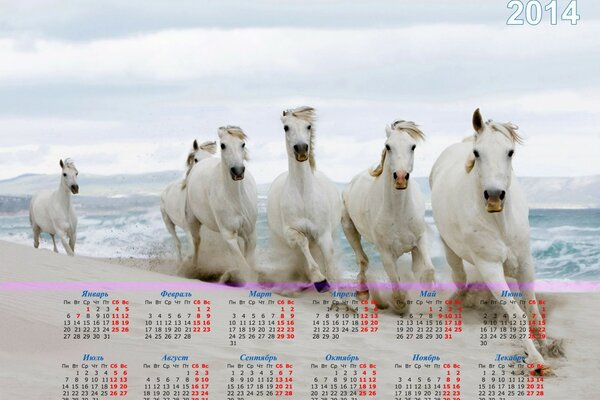 Calendario 2014 con caballos blancos