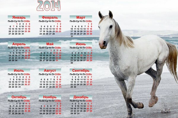 Kalender für 2014 mit weißem Pferd