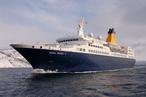 Un grand paquebot flotte sur la mer