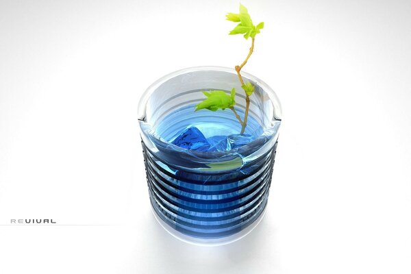 Pequeña planta en un vaso de agua