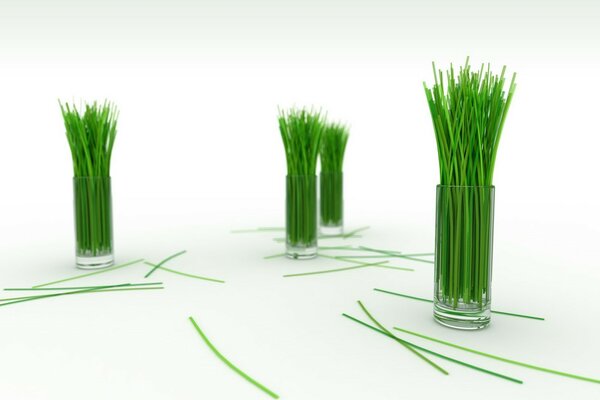 Grass in lined vases on a white background