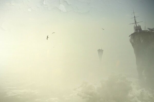 Flying birds in the clouds