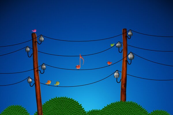 Birds are sitting on wires