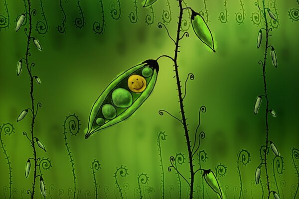 Drawing on a green background of peas