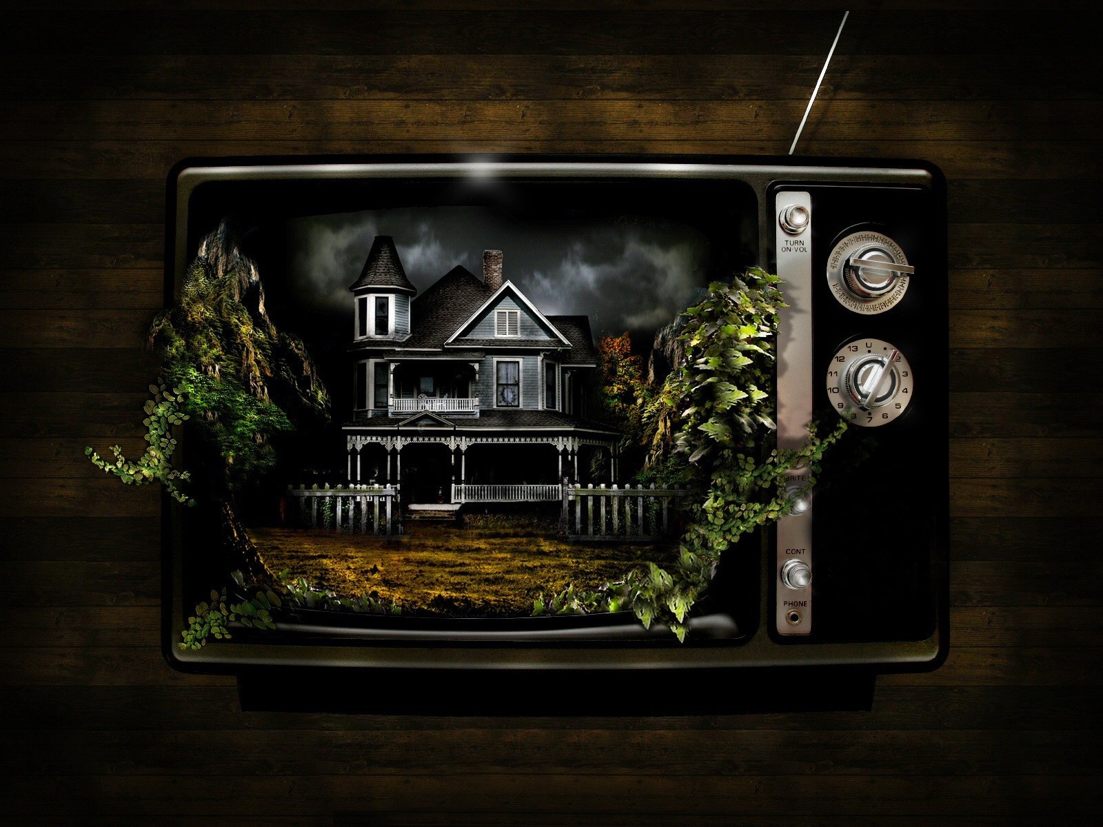 tv maison plantes étrange