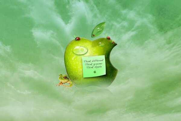 Apple green apple and frog