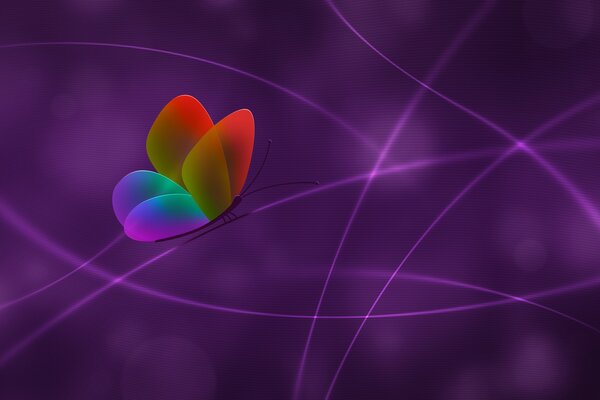 Beautiful multicolored butterfly on a purple background