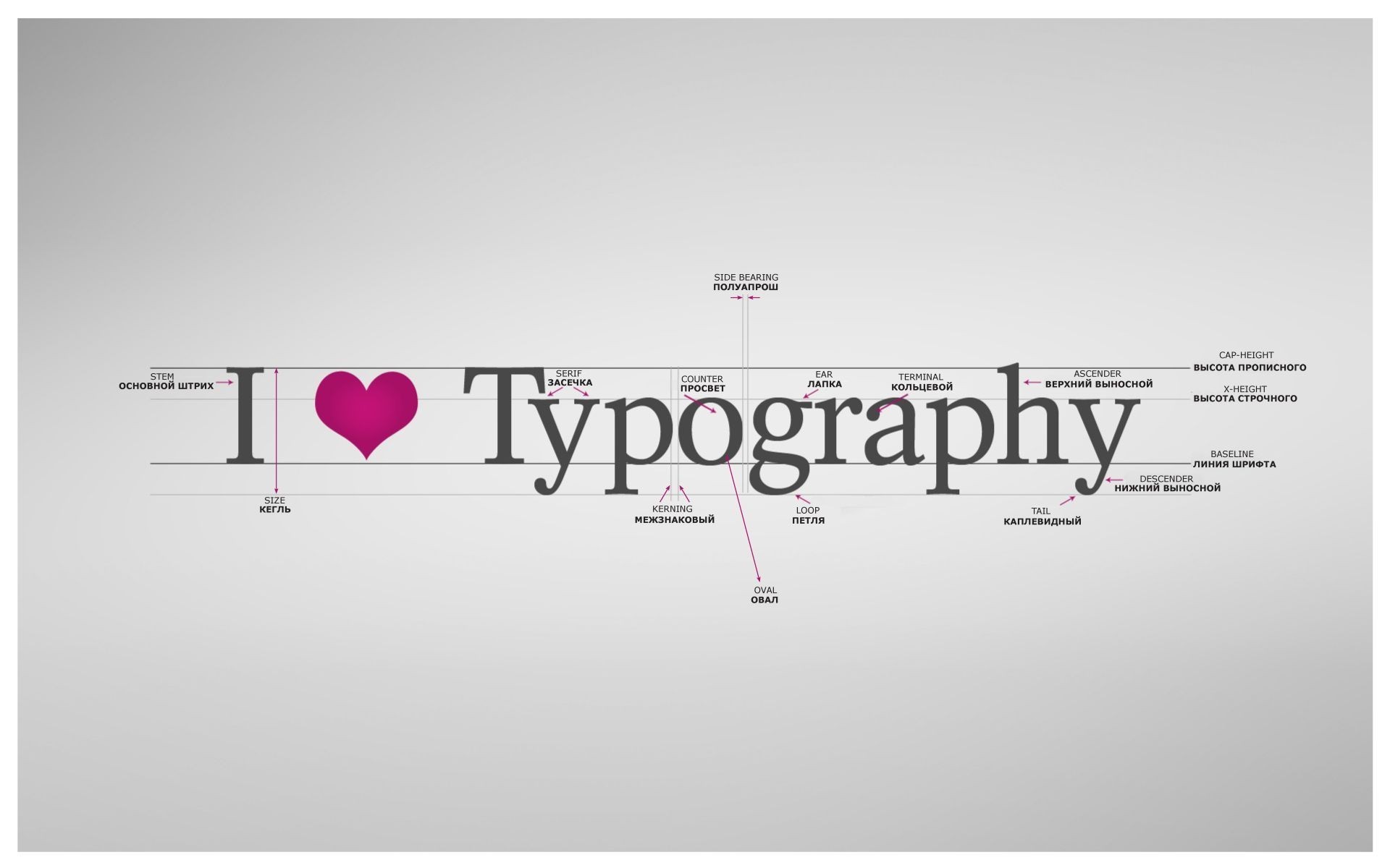 i love typography typography label