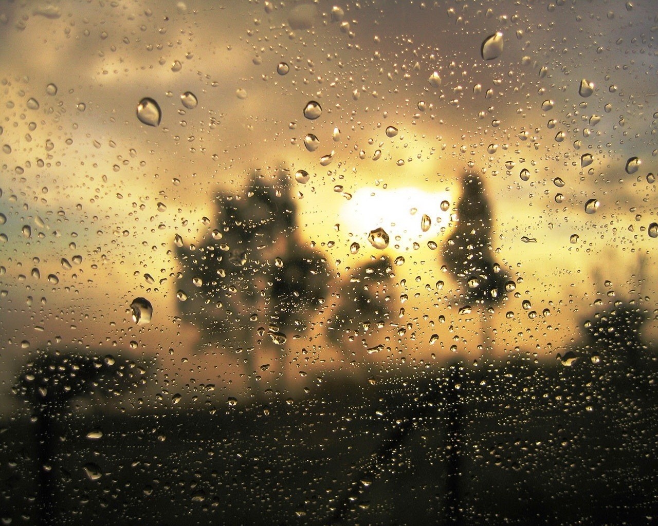 lluvia gotas proximidad vidrio turbidez oro