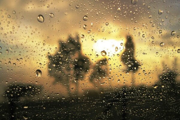 Reflejo de las gotas de lluvia en el sol Poniente