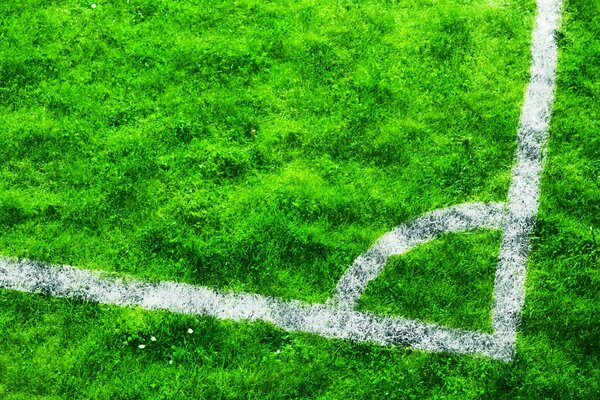 Campo de fútbol sobre hierba verde escénica