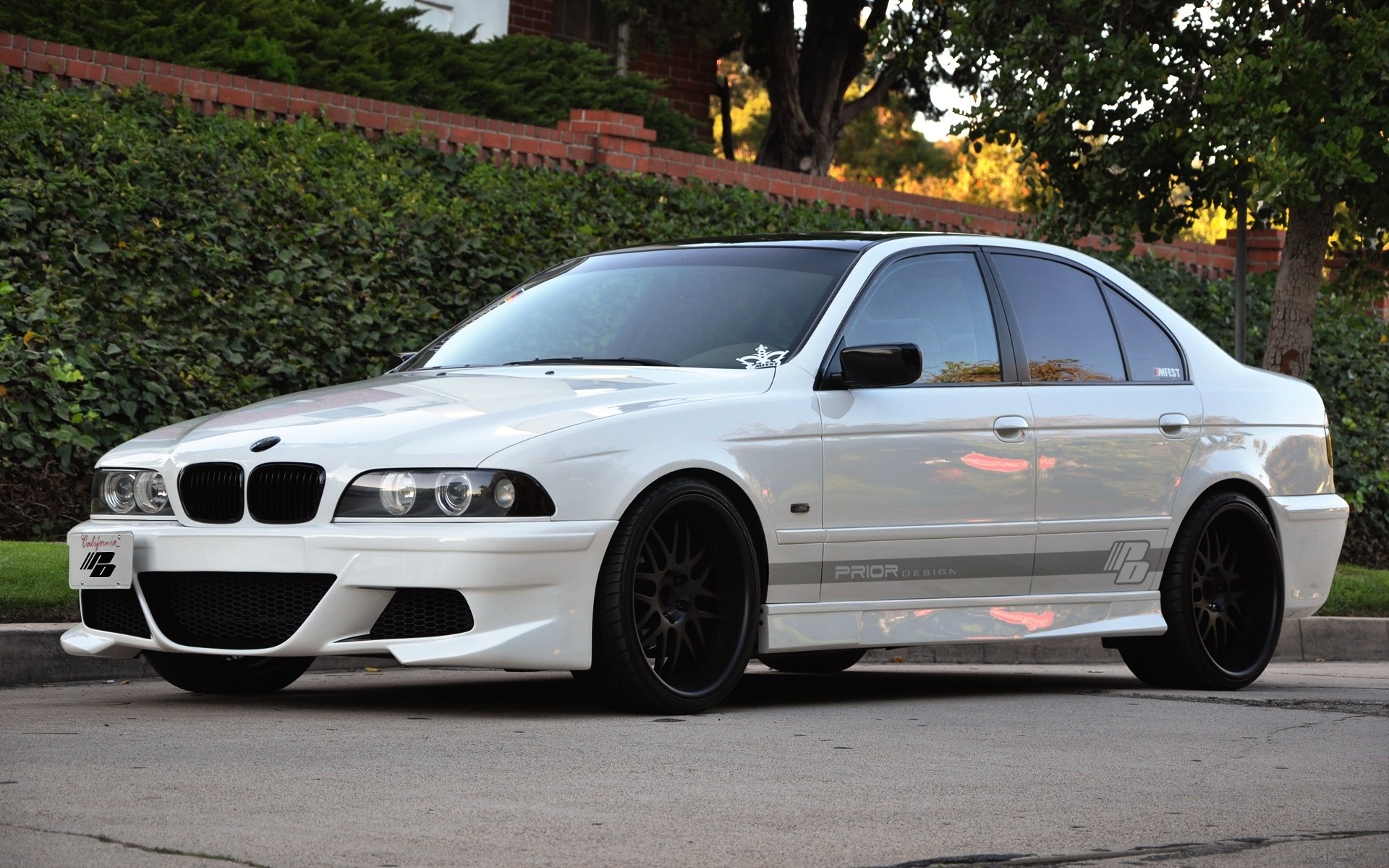 bmw auto samochody tuning drzewa ogrodzenia krzewy