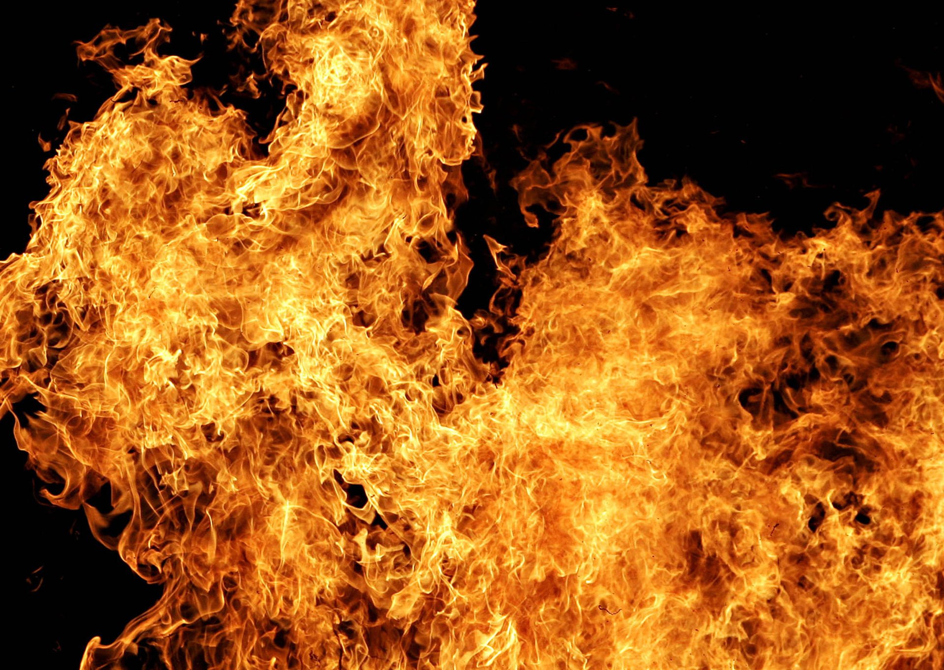 tongues flame black fire background flame