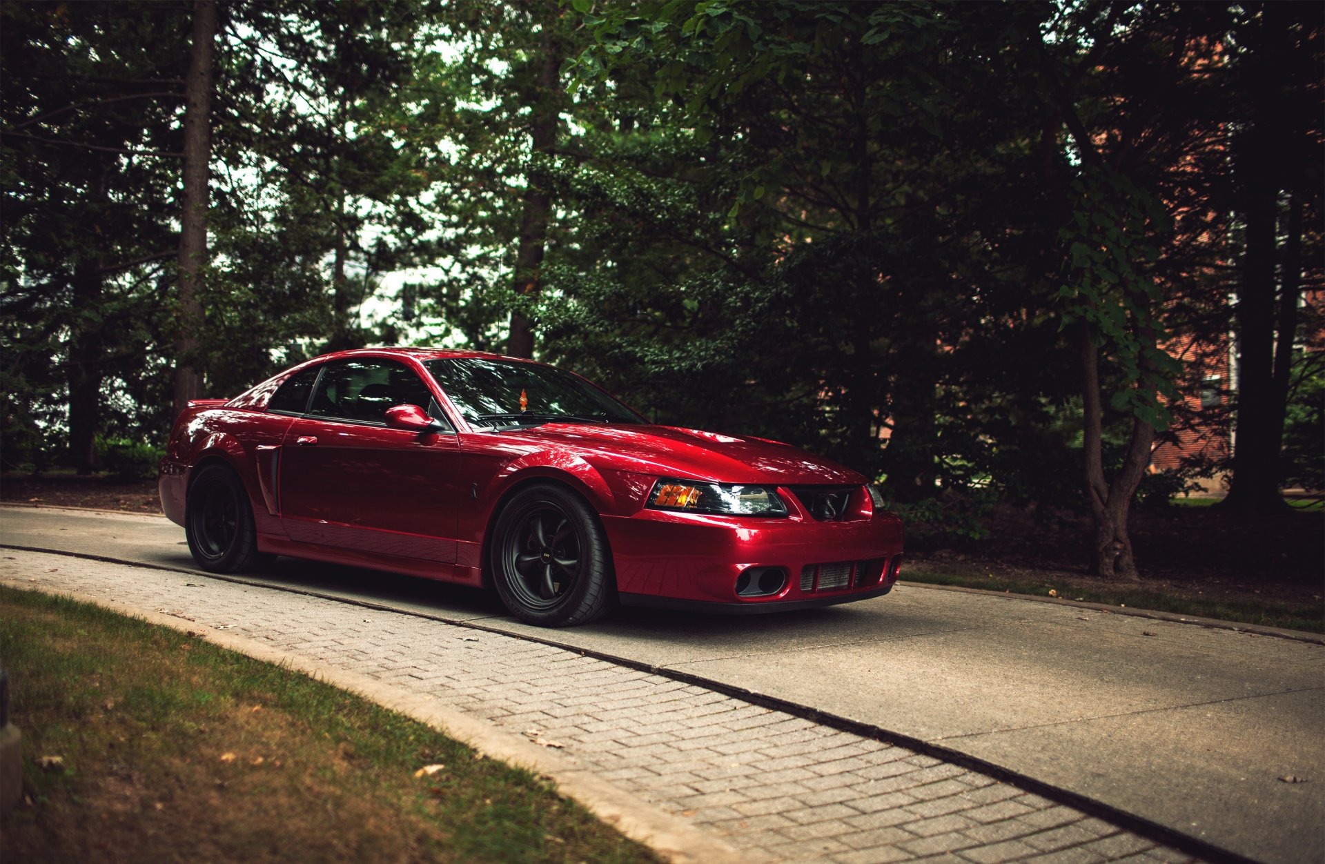 ford mustang cobra ford mustang red red forest