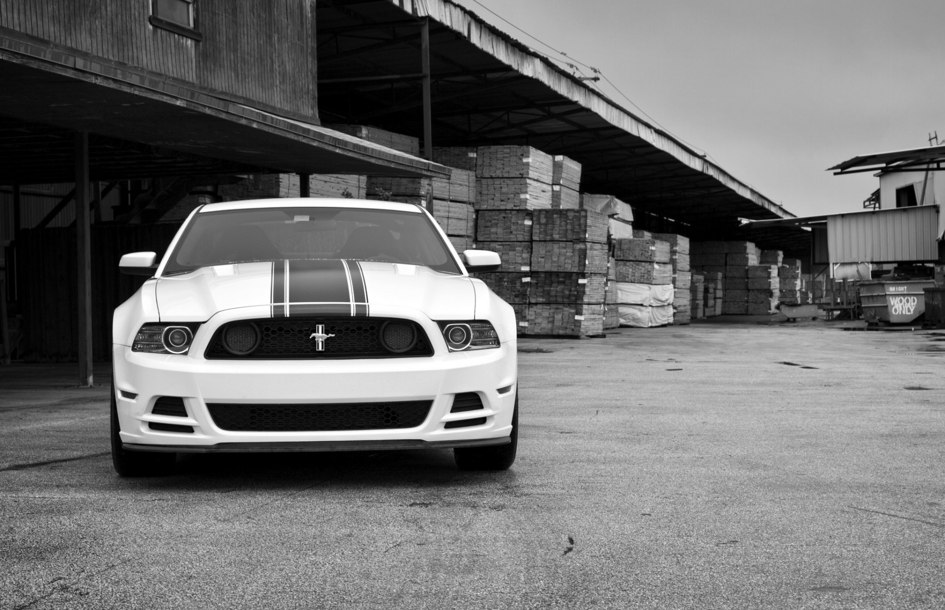 ford mustang boss 302 white ford mustang 302 boss front